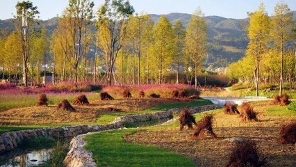東方園林 向全能型生態(tài)環(huán)保企業(yè)邁進，持續(xù)深耕循環(huán)經濟與樹木種植經營
