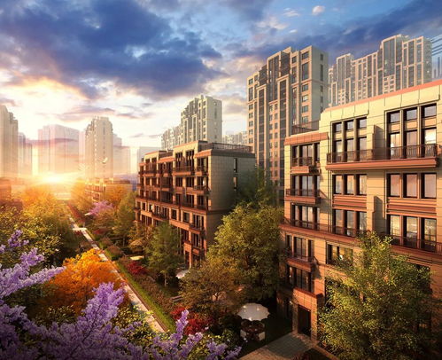 居住自由 一個(gè)上海家庭的夢(mèng)想與現(xiàn)實(shí)